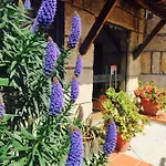 Casa Maximo Lägenhet *