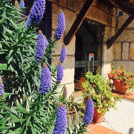 Casa Maximo Apartmán *