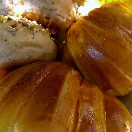 Apartmán Casa Maximo *