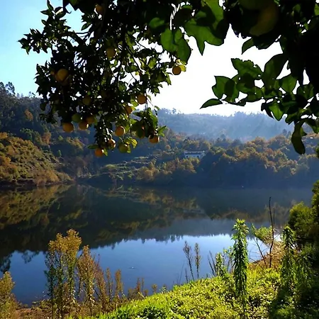 Casa Maximo Appartement