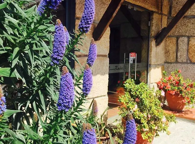 Casa Maximo アパート *